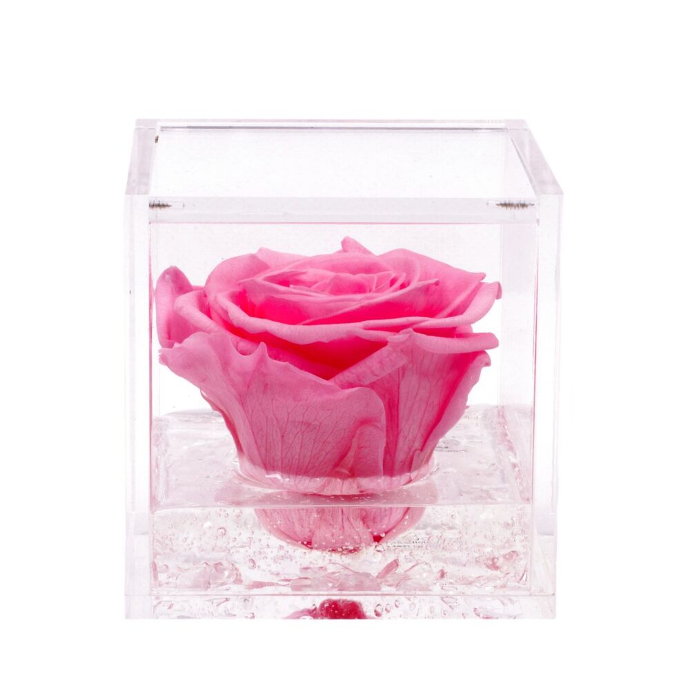 FlowerCube Blu – Lealtà - Vendita rose stabilizzate. Spedizioni in tutta  Italia