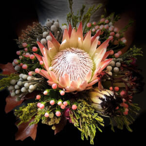 luxuri bouqte protea isaura de matteis fiorista a lecce