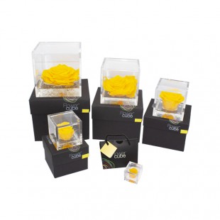 FlowerCube Giallo - Energia - NaturDecor